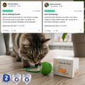 TassJakt™ – Aktiv lek på kattens premisser