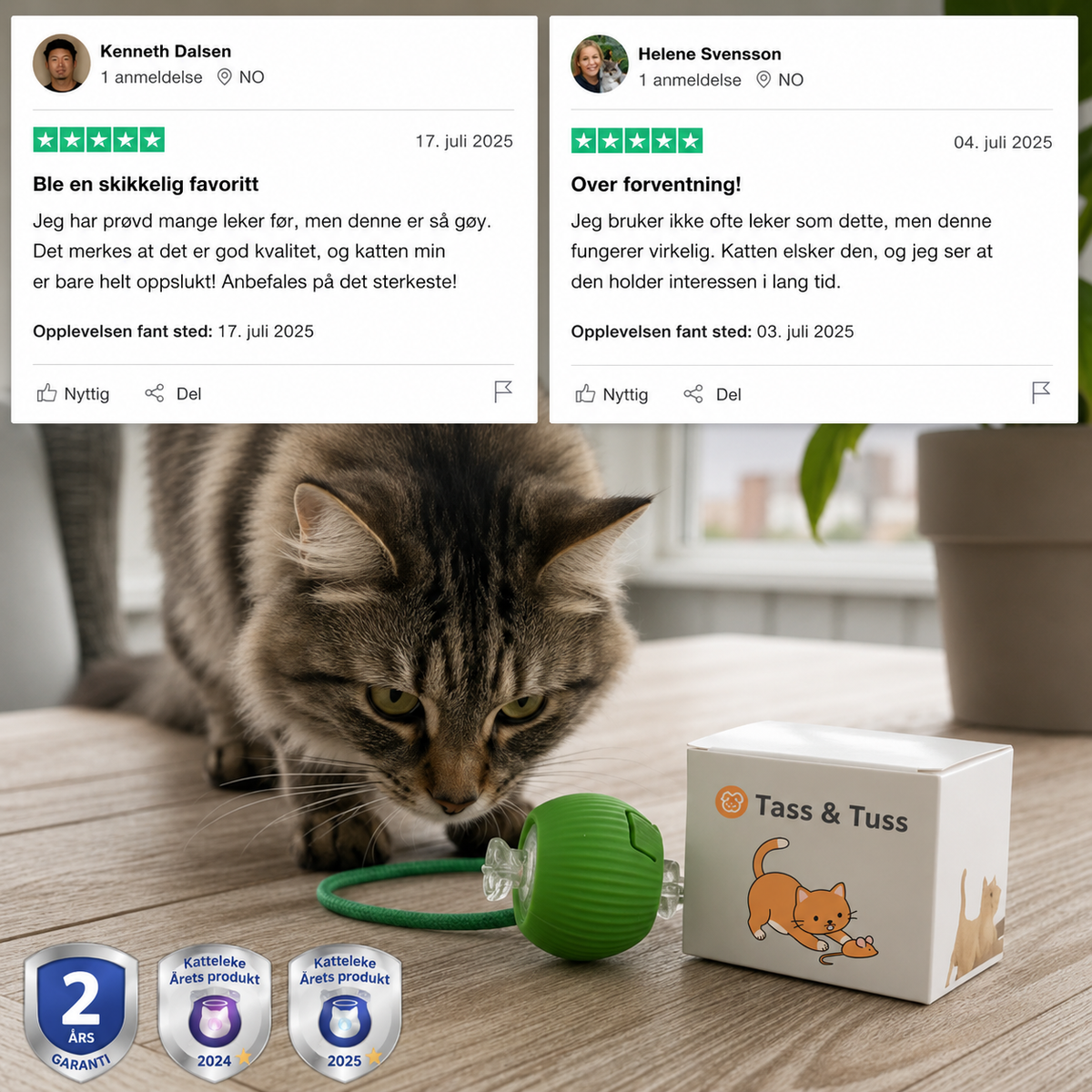 TassJakt™ – Aktiv lek på kattens premisser