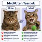 TassJakt™ – Aktiv lek på kattens premisser