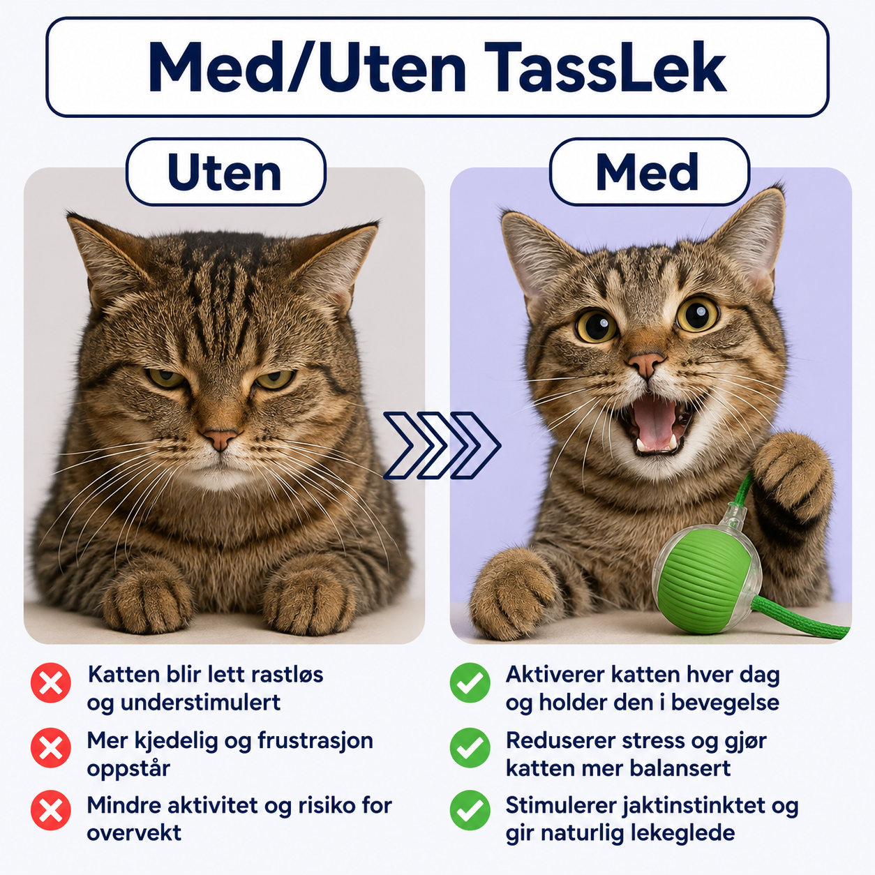 TassJakt™ – Aktiv lek på kattens premisser