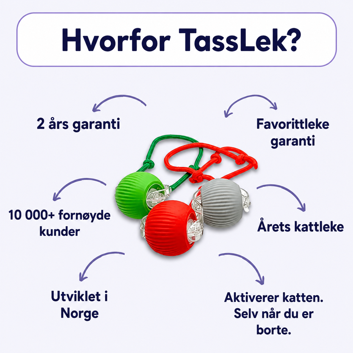 TassJakt™ – Aktiv lek på kattens premisser