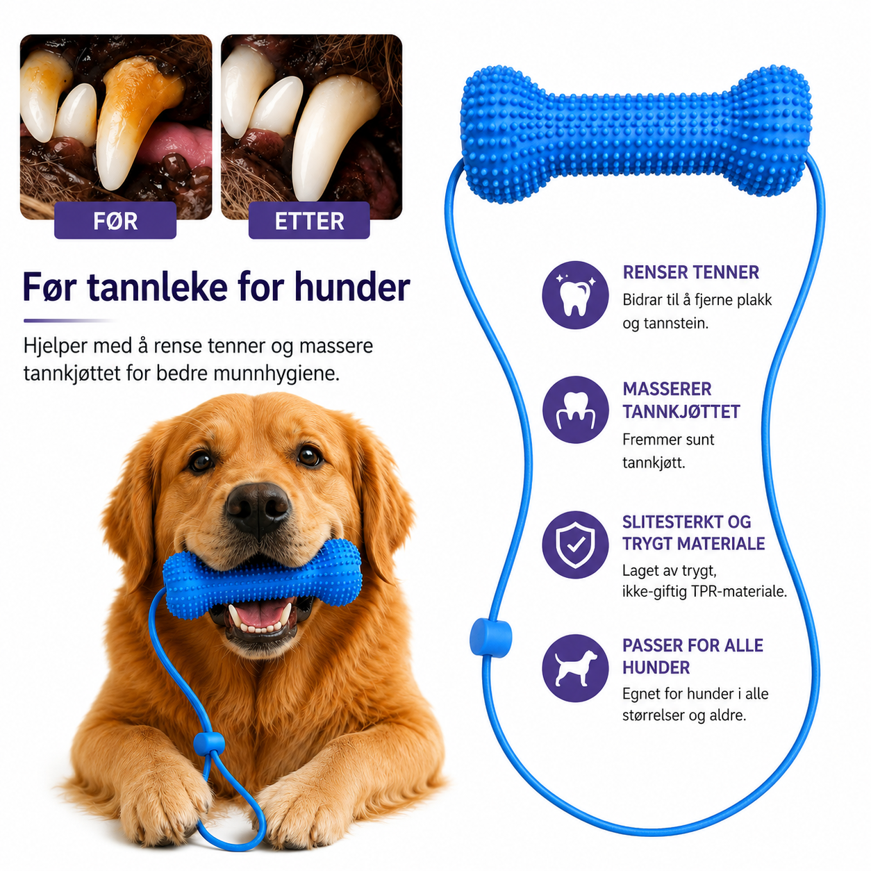 Tanntyggeleke for hund