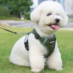 Hundesele Duomm®