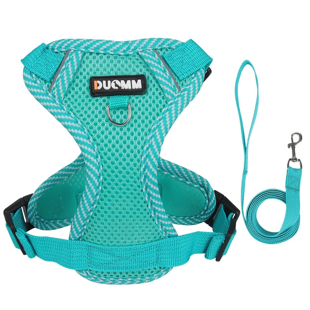 Hundesele Duomm®