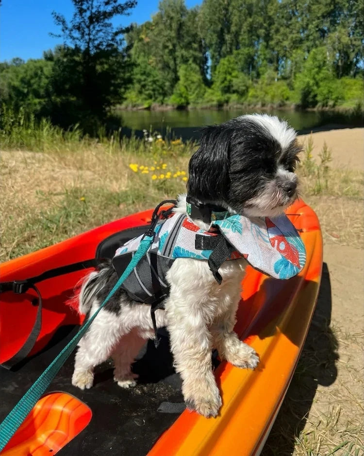 Flytevest for hund med hakestøtte